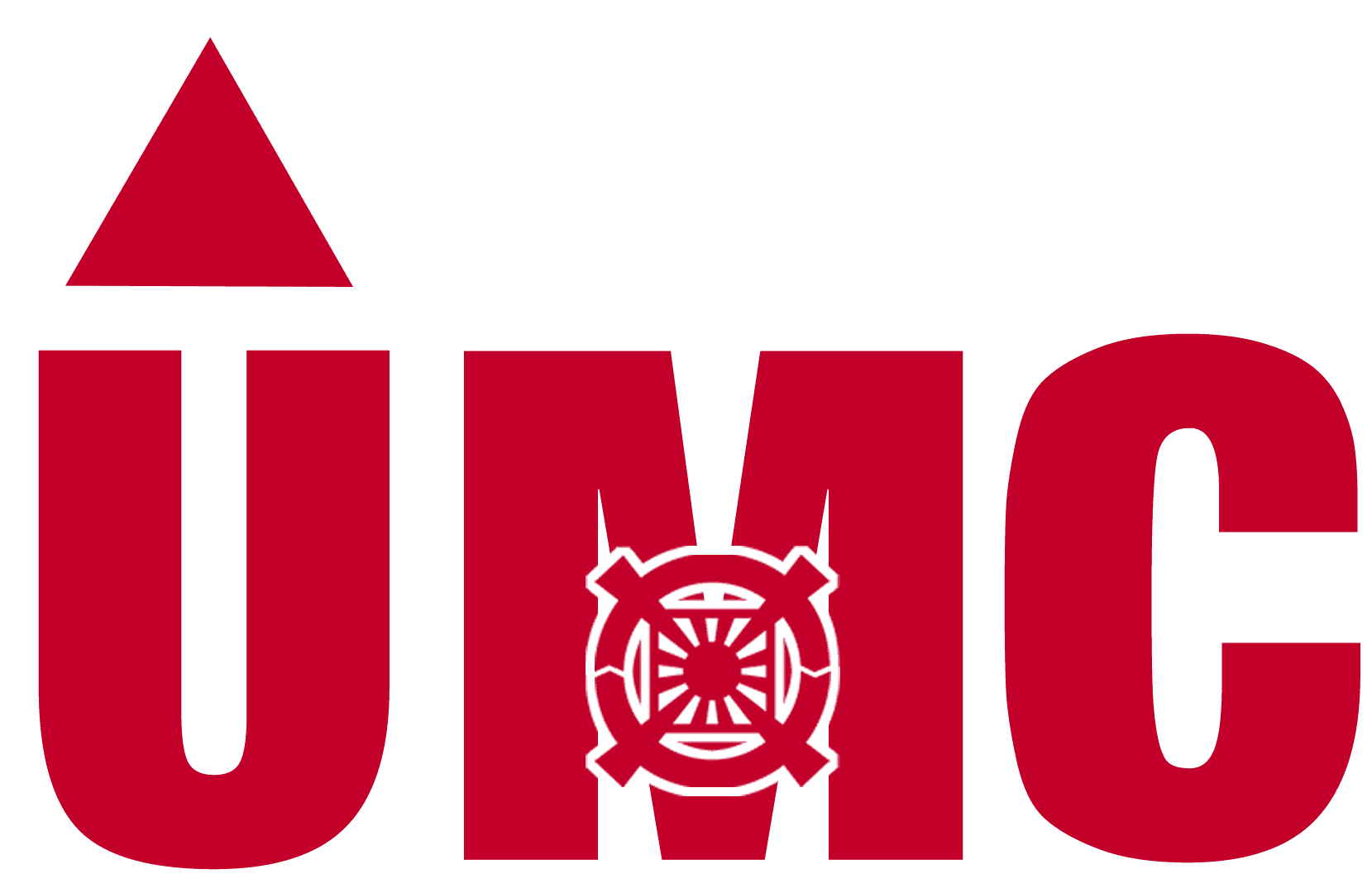 Logo CAMI